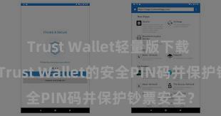 Trust Wallet轻量版下载 如何设立Trust Wallet的安全PIN码并保护钞票安全？