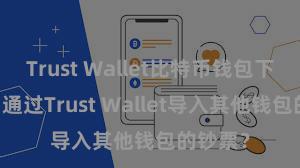 Trust Wallet比特币钱包下载 何如通过Trust Wallet导入其他钱包的钞票？