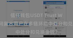 信任钱包USDT Trust Wallet奈何复古用户在多链环境中处分和兑换金钱？