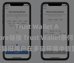 Trust Wallet App Store链接 Trust Wallet奈何复旧用户在多链环境中措置和兑换金钱？