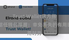 Trust Wallet官方指南 信任钱包撑握：幸免丢失的有用时势