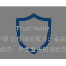 Trust Wallet正版免费下载 信任钱包救济：幸免丢失的灵验尺度